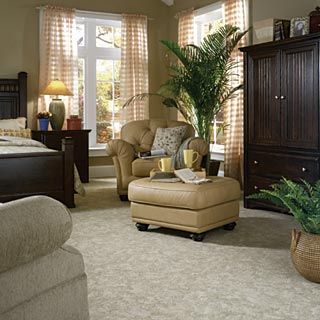 steam carpet cleaning in New Jersey upholstery steam cleaning
