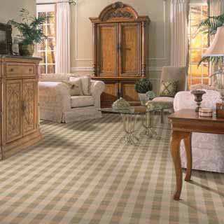 steam carpet cleaning in Chicago upholstery steam cleaning