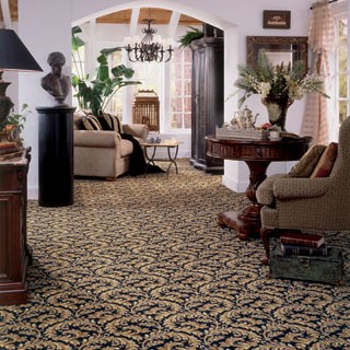 steam carpet cleaning | upholstery steam cleaning