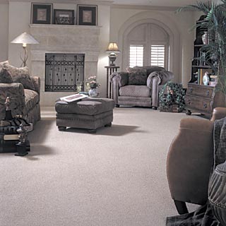 steam carpet cleaning in Connecticut upholstery steam cleaning