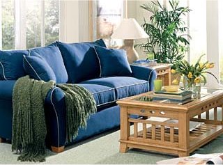 steam carpet cleaning | upholstery steam cleaning