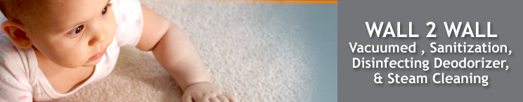 Carpet Cleaning Los Angeles - STEAMERS Carpet Cleaning