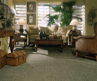 steam carpet cleaning | wood floor refinishing